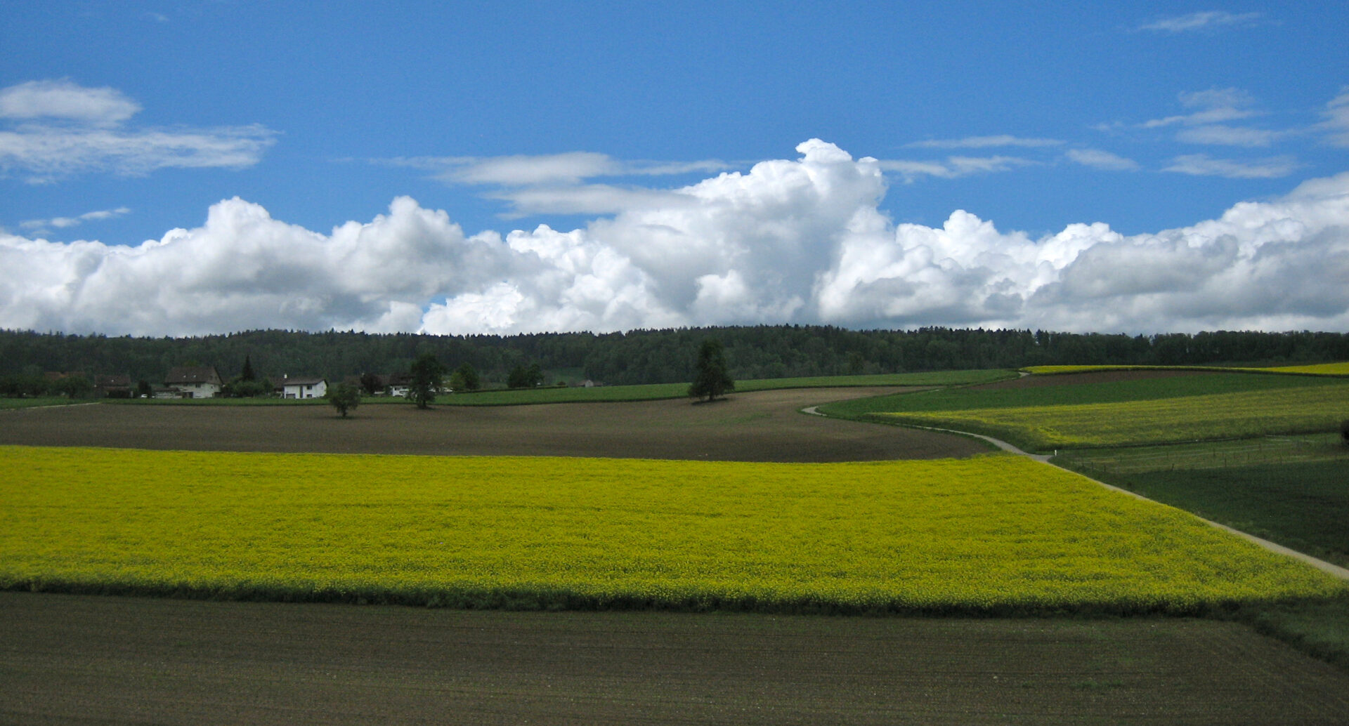 Hummelflug und Tröte