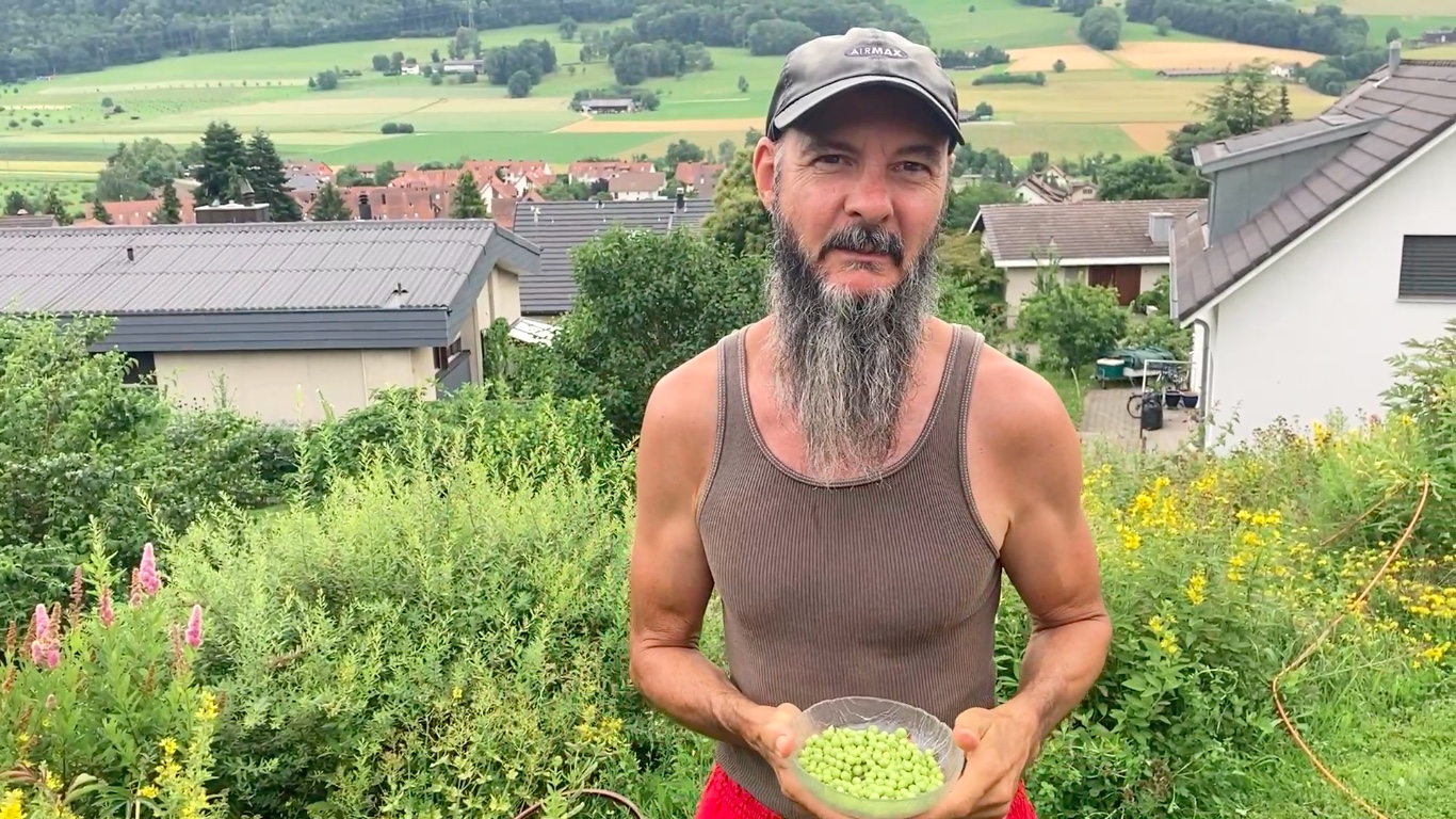 Erbsenernte & Sandalenterror