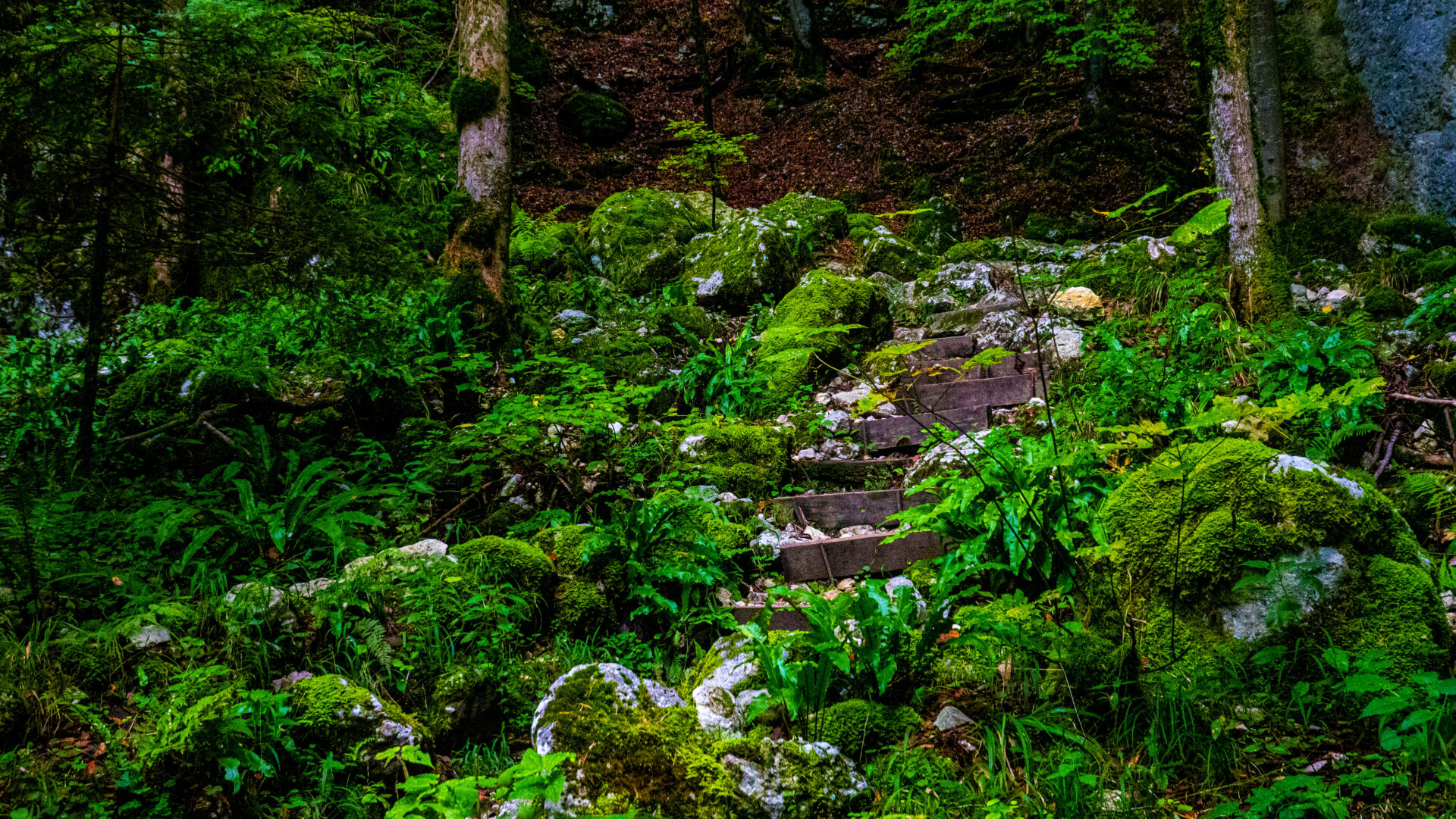 Wolfsschlucht – Bärenloch – Pintli