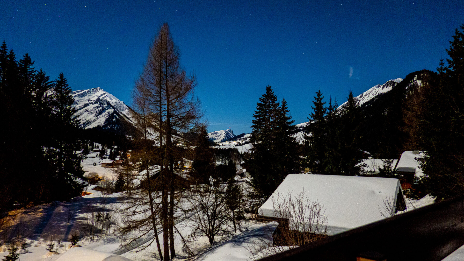 2. Nacht & Dendritenzauber