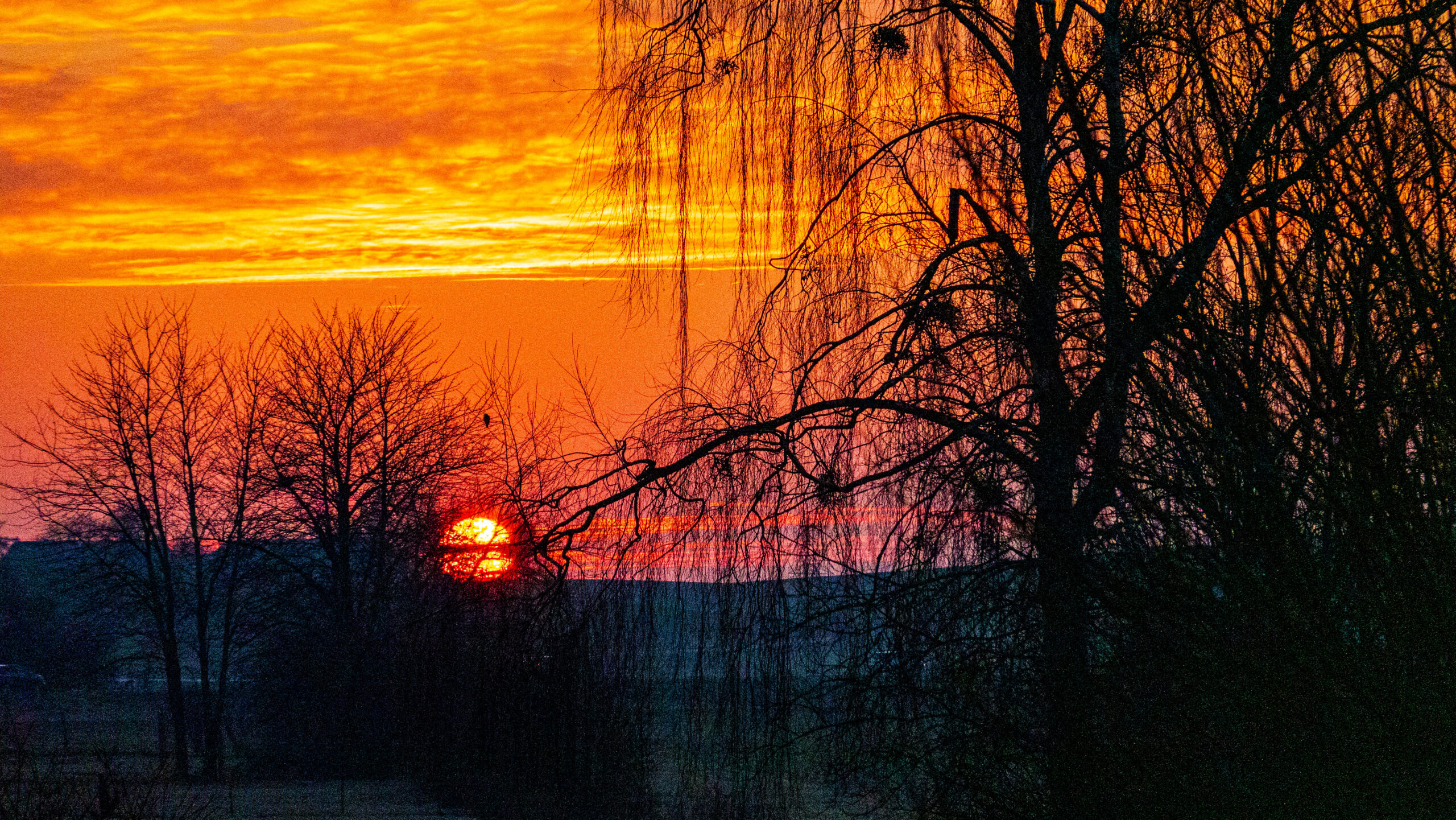 Un-Weissenberge & ein Gimpel