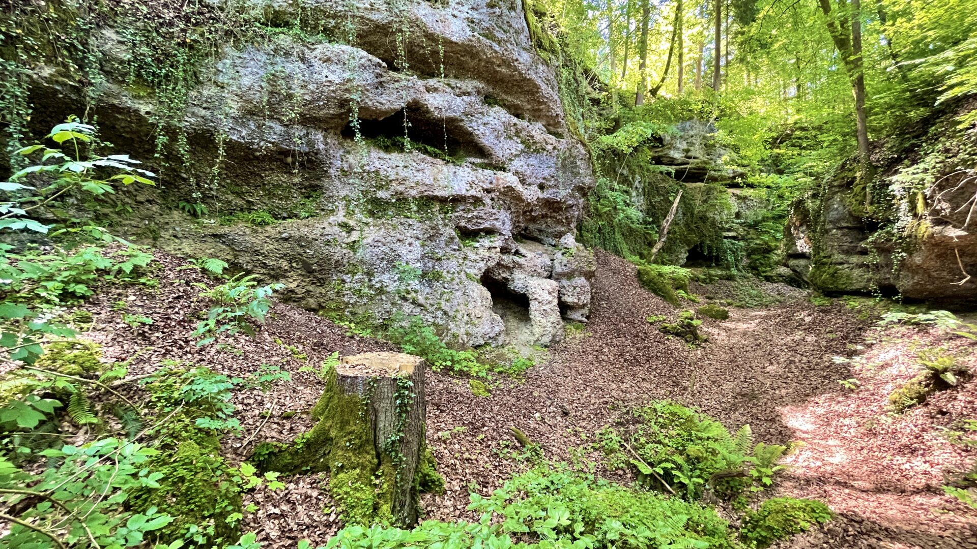 Spaltenflue – Silberbrünneli & Cholplatz