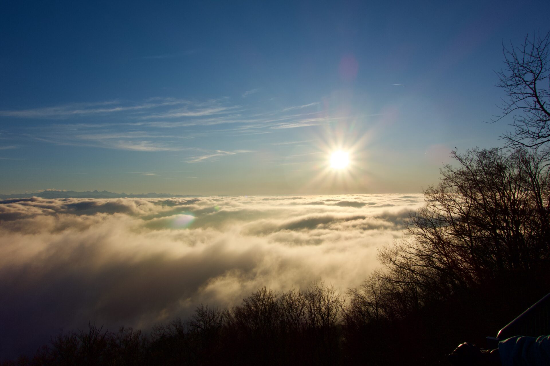Nebelmeer & Nadeleisöhr