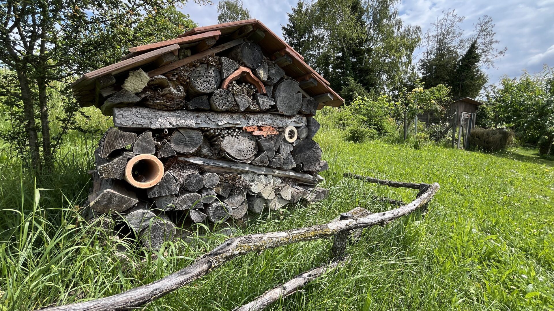 3 Wunder-Weiher-Wanderung